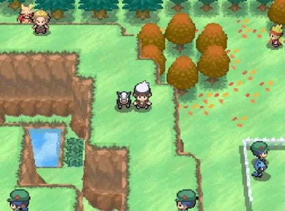 Pokemon DS HACKED Save Collection - 60+ Saves - Complete Shiny Pokedex - NDS